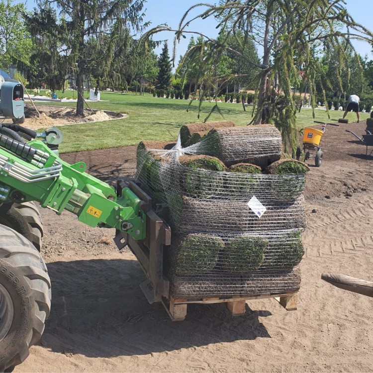 trawa z rolki4.jpg