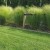 Ostnica cieniutka STIPA Pony Tails5.jpg