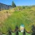 Stipa_fi12.jpg