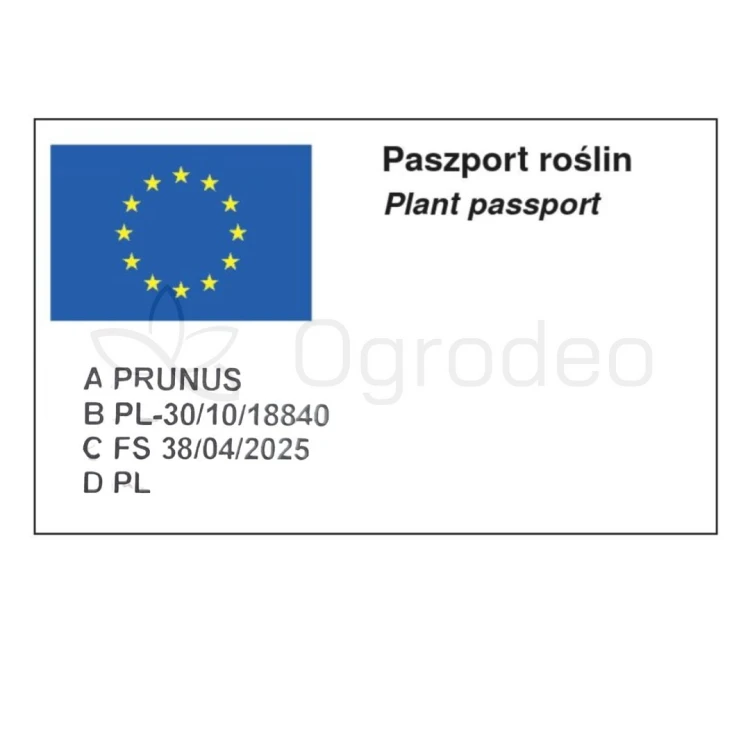Paszport Prunus_Piątkowscy.jpg