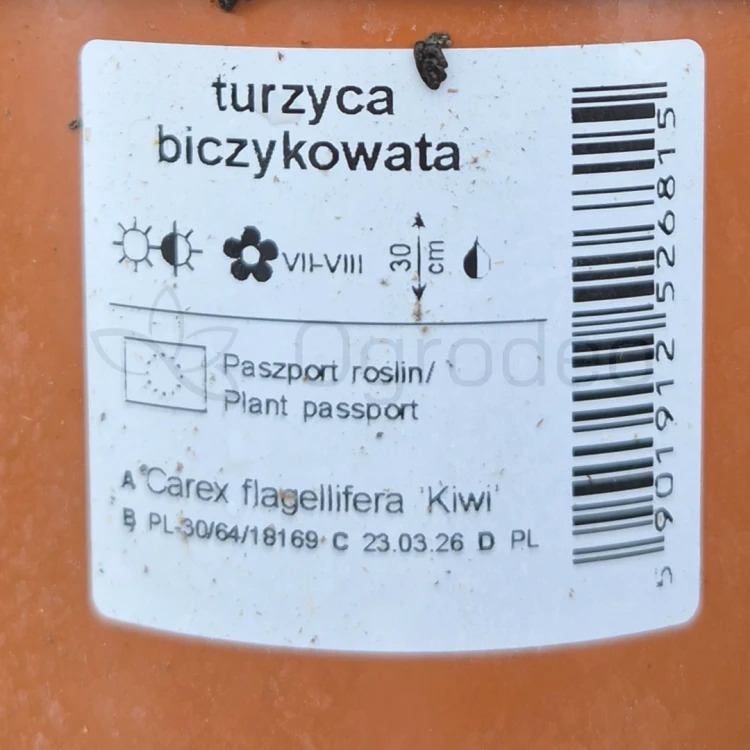 72.png