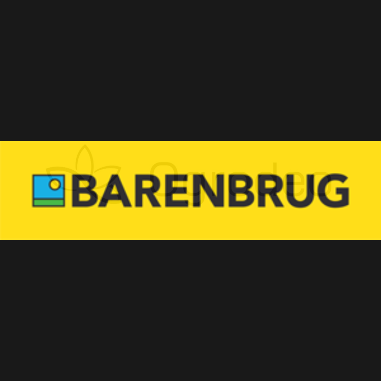 10.png
