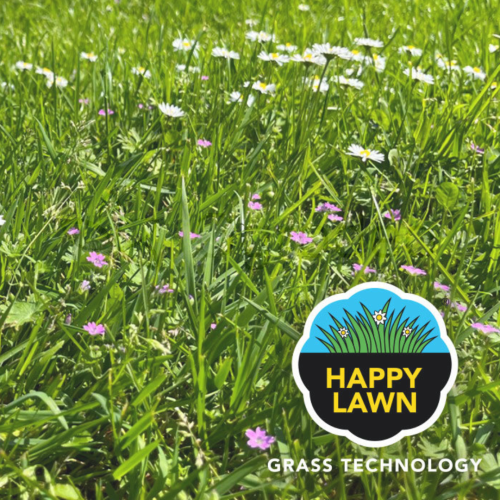 happy lawn_1.png