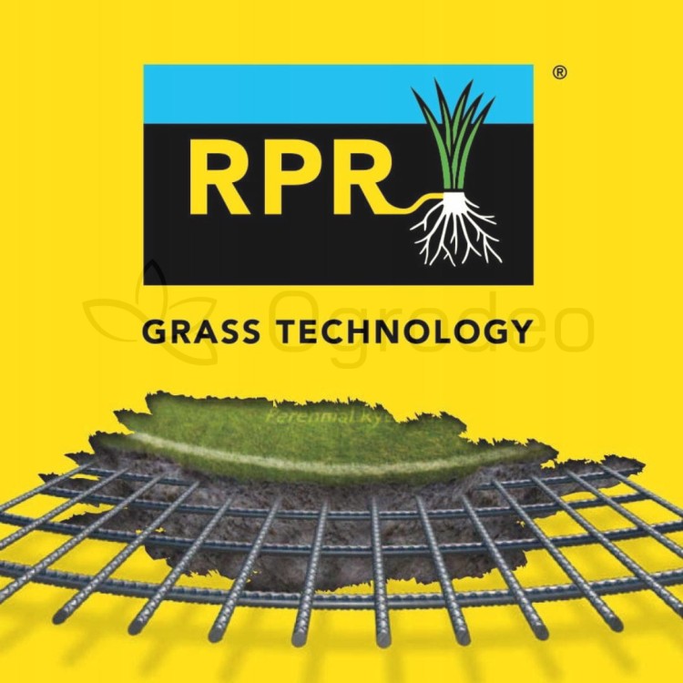 BARENBRUG LOGO RPR.jpg