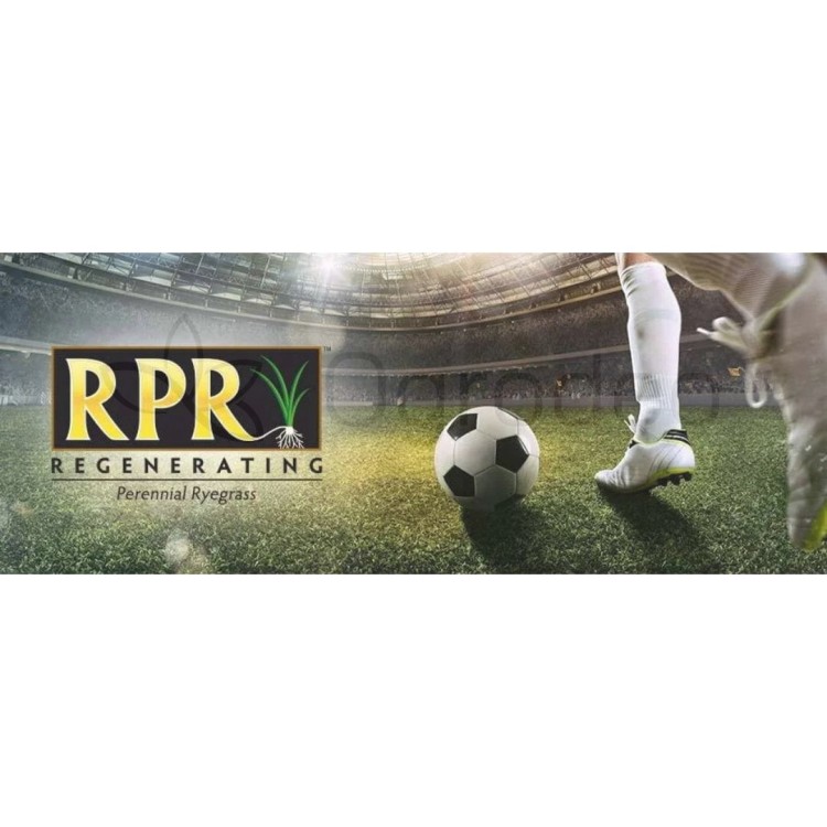 BARENBRUG LOGO RPR2.jpg