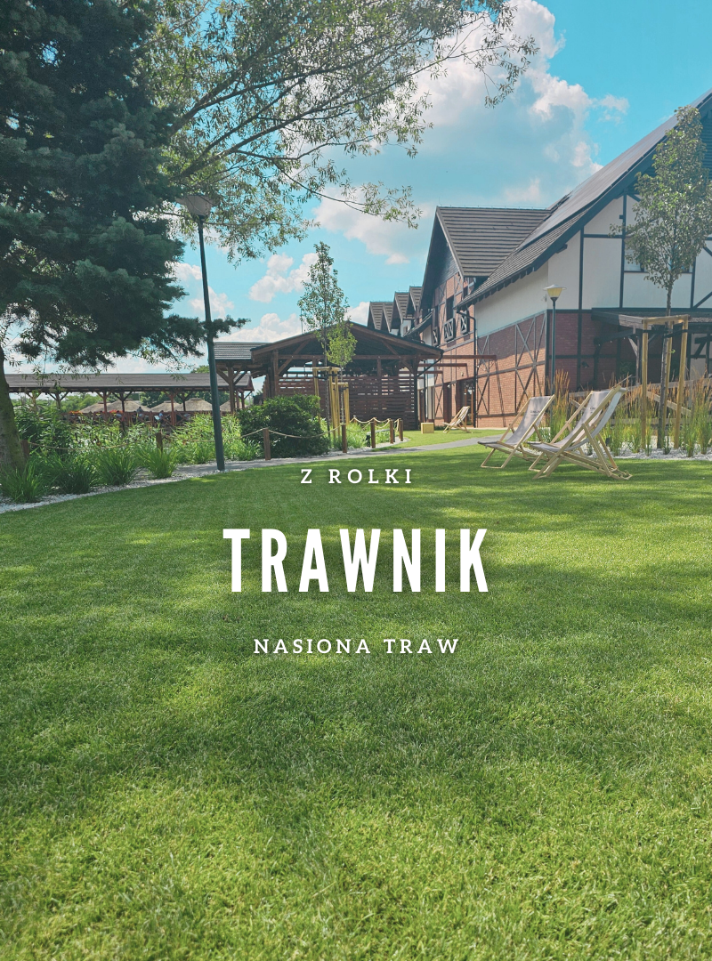 Trawnik